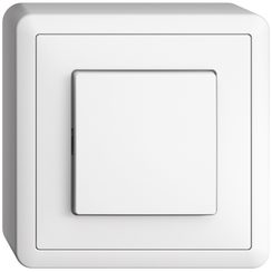 Interrupteur poussoir lum. AP EDIZIOdue 3/1L blanc, contrôle, LED blanc