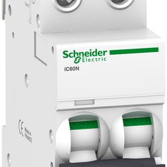 Disjoncteur Schneider iC60N 2P 2A C