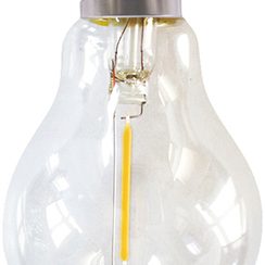 Spare Bulb A60 clear 36V/0,3W