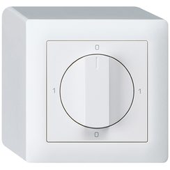 Interrupteur rotatif AP kallysto 0/1L blanc avec manette