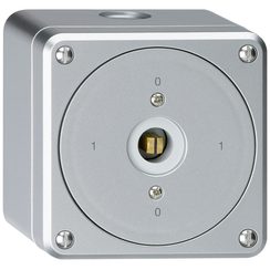 Interrupteur à clé carrée AP sans clapet robusto 0/1P aluminium